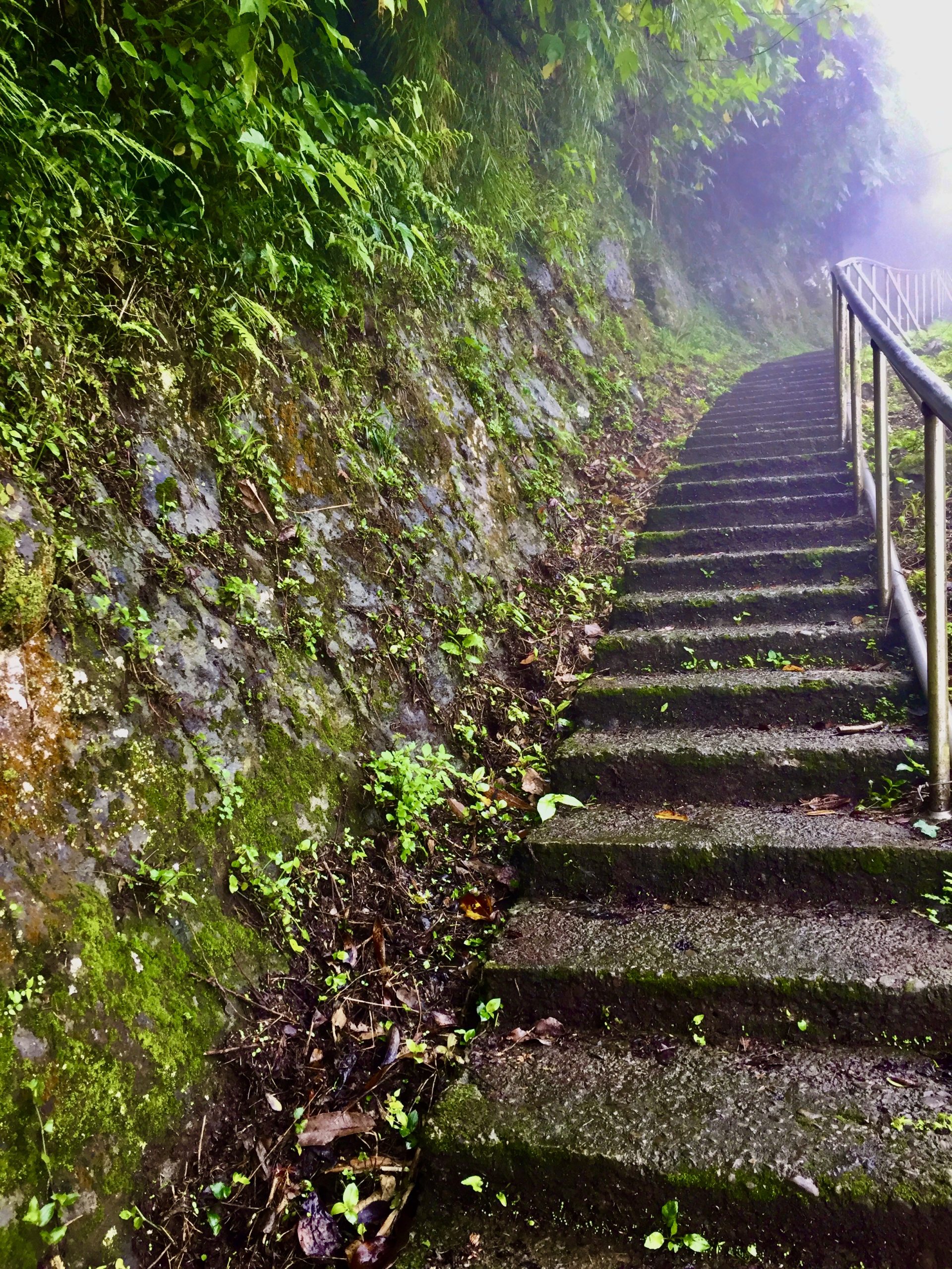 老石屋（元光寺）上崎往靈骨塔，崎（giaˇ有坡的意思），階梯。蕭秀琴攝
