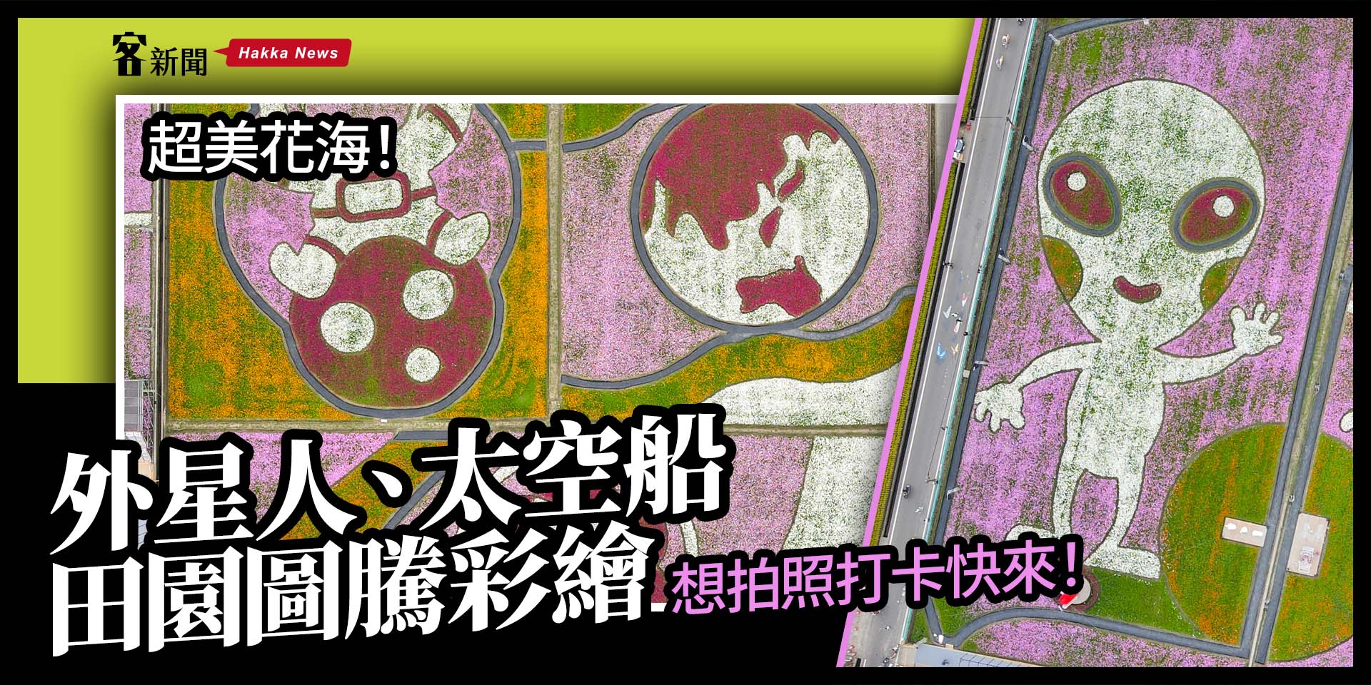 超美花海！外星人、太空船田園圖騰彩繪     想拍照打卡快來！