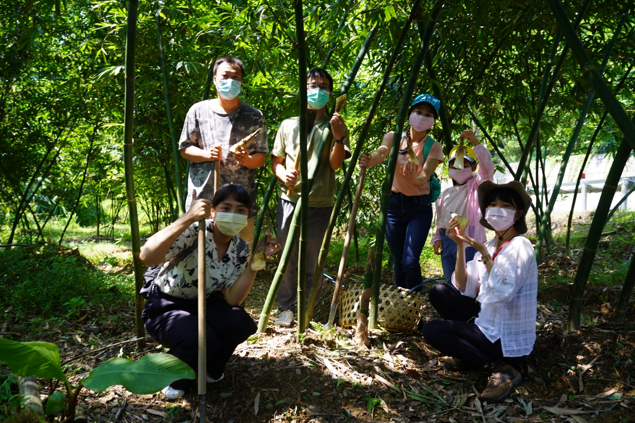 新北市三峽沿山地區,有許多客家移民鄉親,尤其是五寮里保留傳統的客庄型態,種植的水梨筍十分有名。新北市客家事務局提供