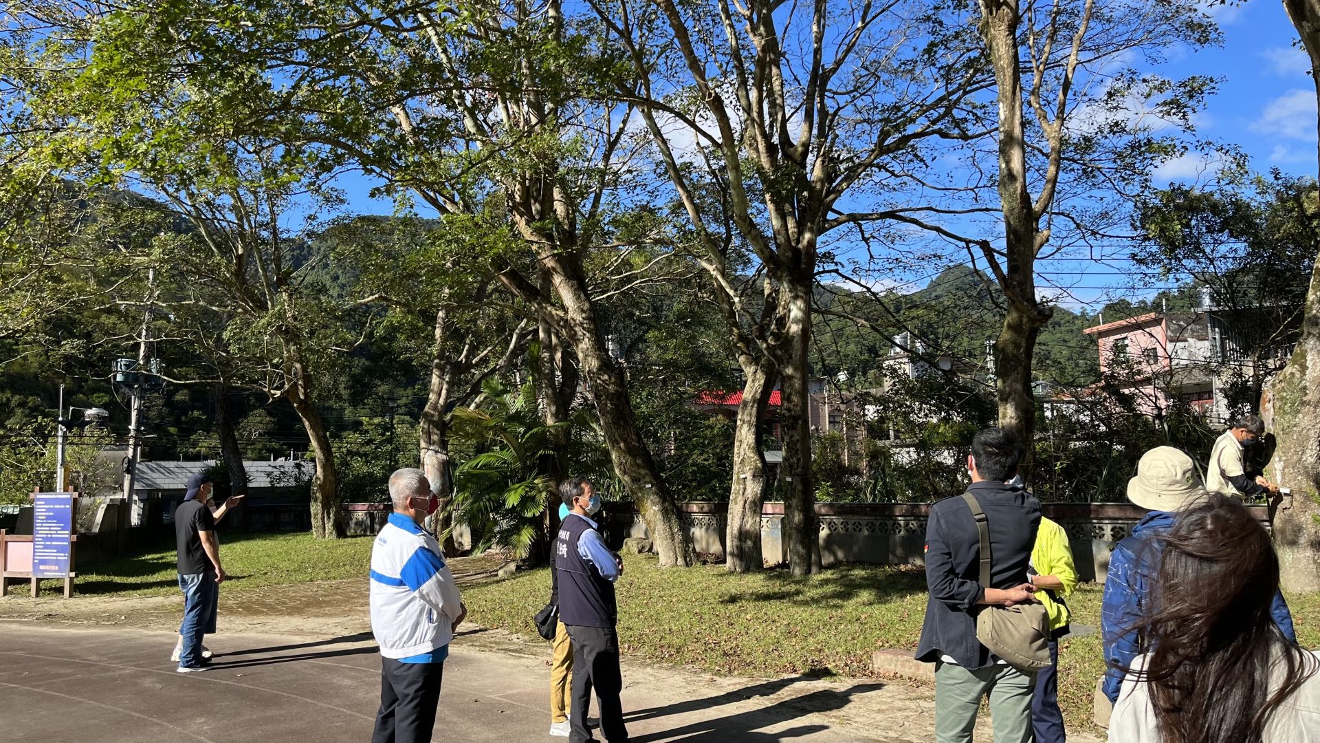 關西錦山國小11株槭樹現況。新竹縣政府提供