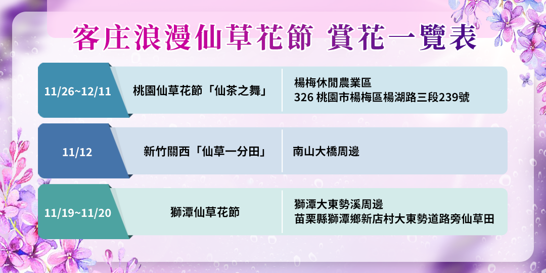 仙草花活動一覽表。客新聞製圖
