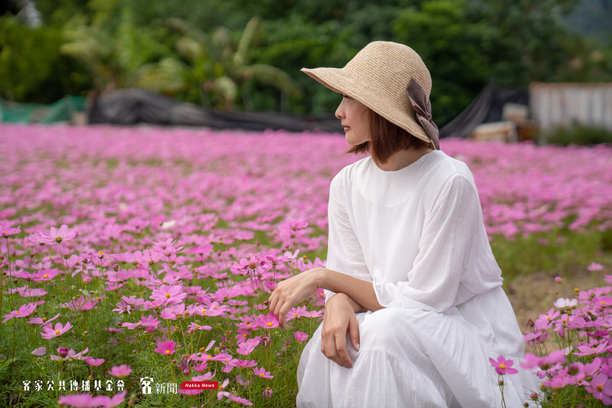 七米高太空梭11/12降落大溪花海田　IG美照攝影拿獎金