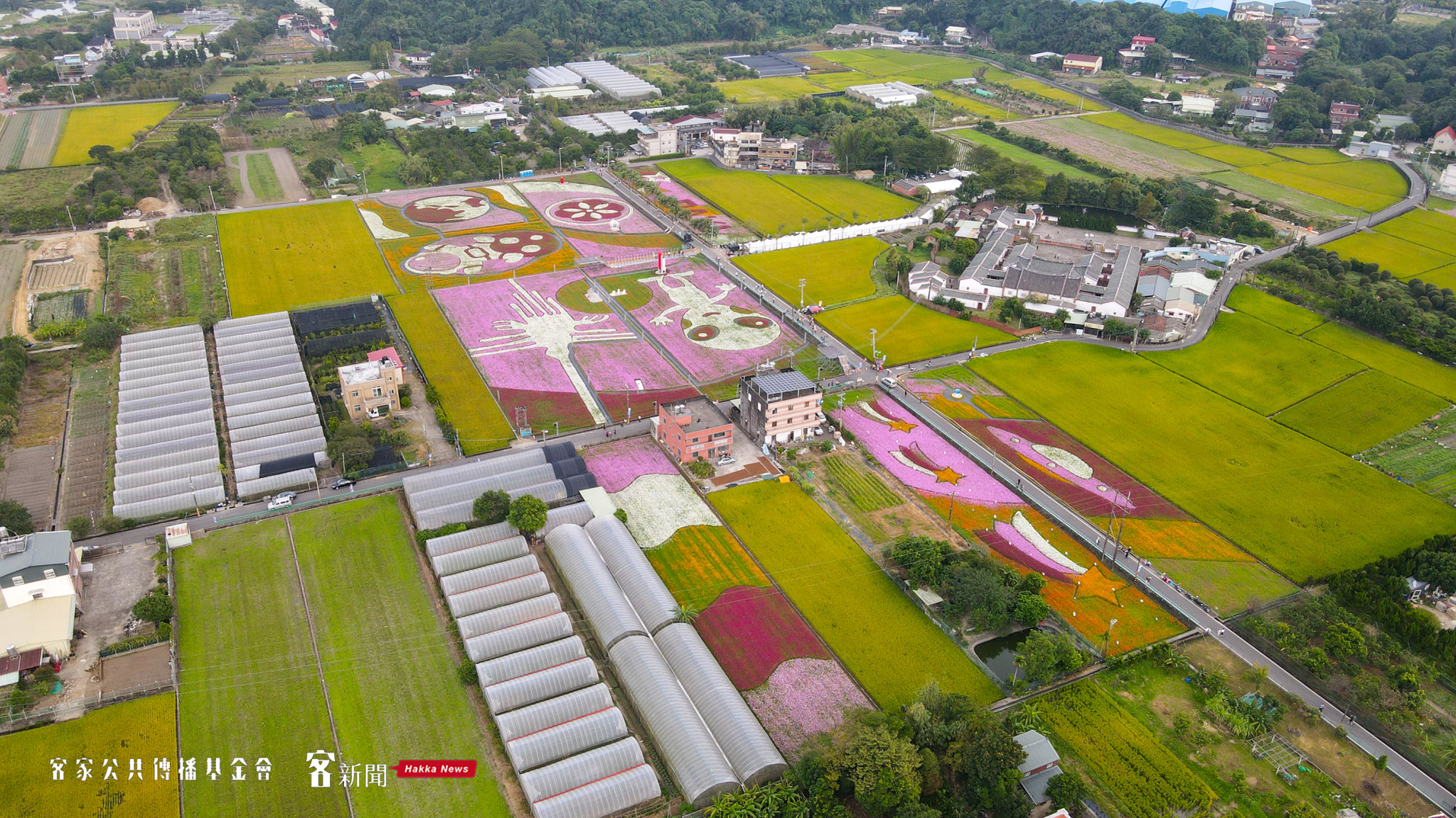桃園花彩節佔地面積堪稱北台灣最大花海圖騰。宋佩遙攝