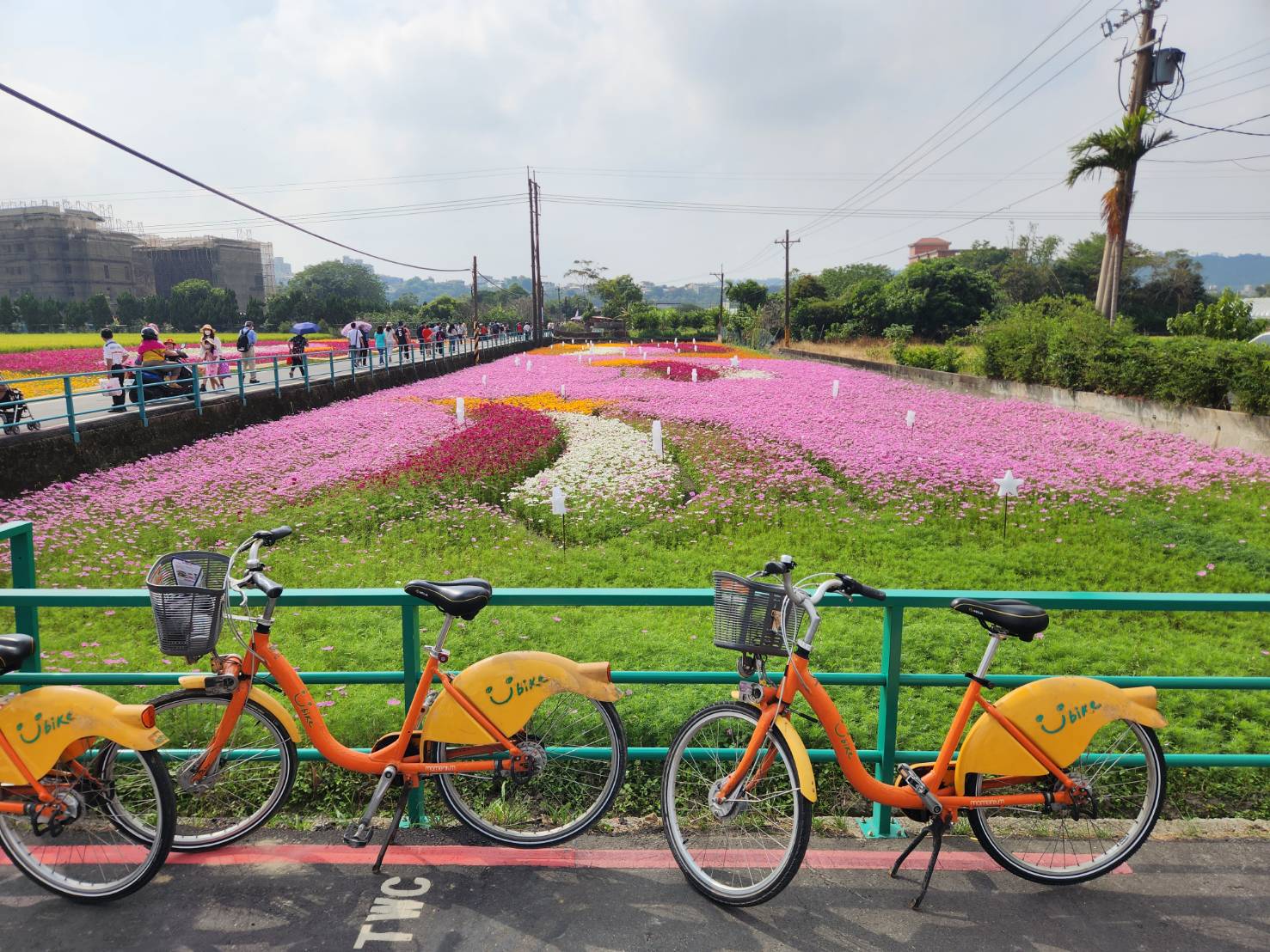 Youbike腳踏車。洪俊傑攝（資料照）