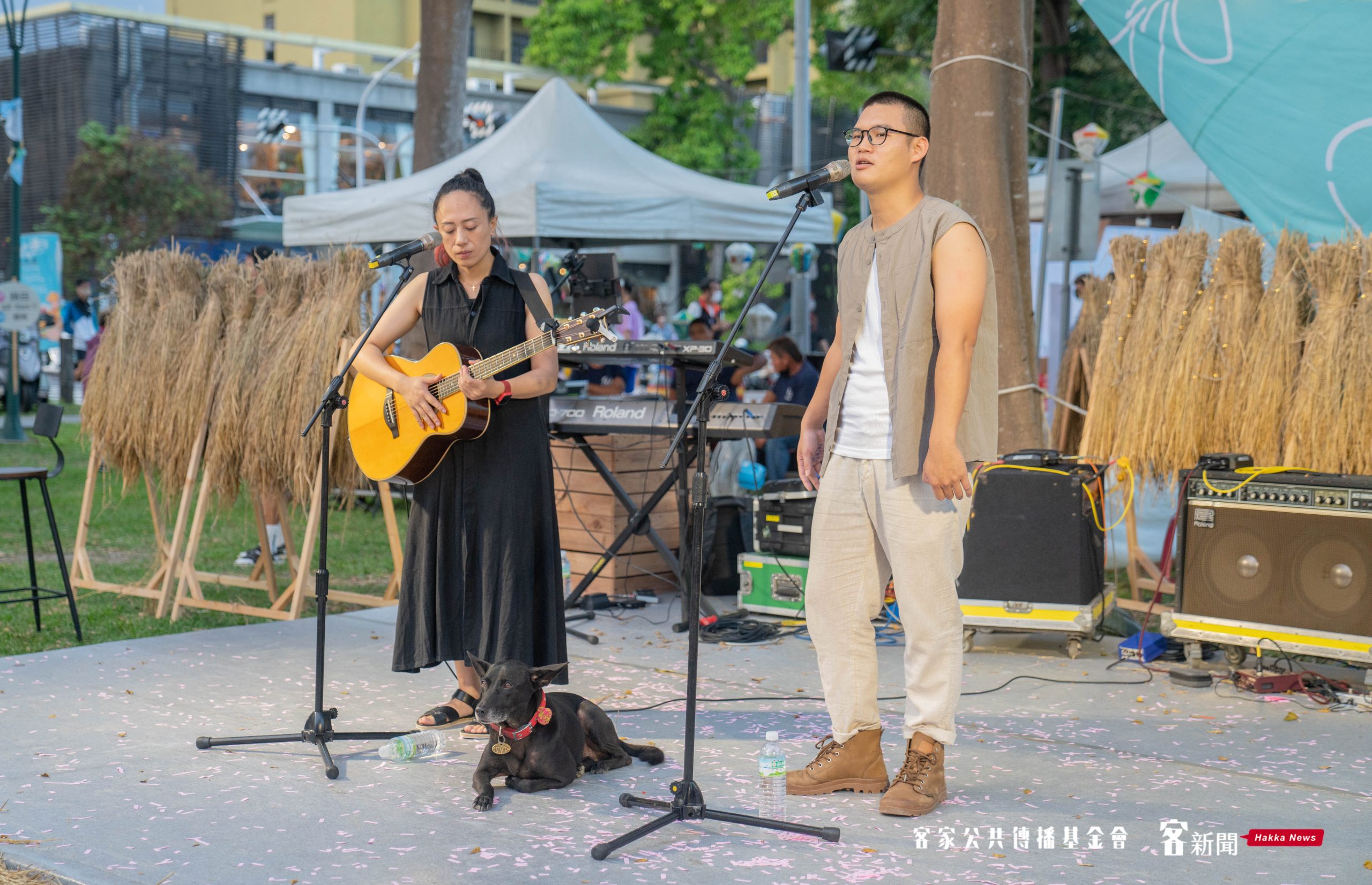 在地樂團表演,演唱多首陳永淘經典客語歌,寵物狗也一邊趴在台上聽音樂,現場氛圍可愛。洪俊傑攝