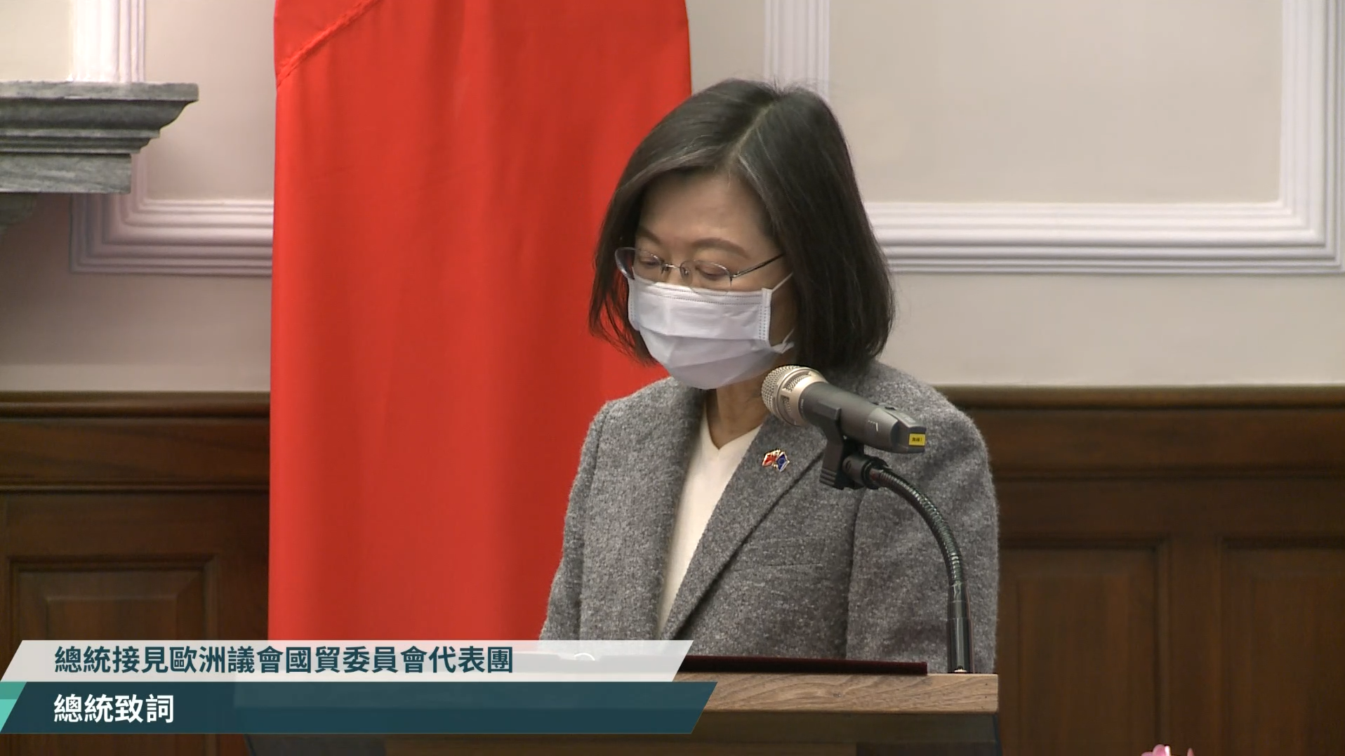 總統接見歐洲議會國貿委員會代表團。翻攝蔡英文總統臉書