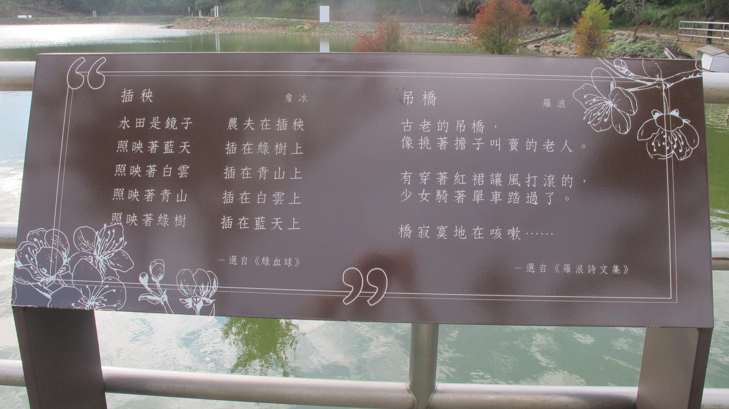 近代詩人作品，詹冰「插秧」、羅浪「吊橋」。何來美攝