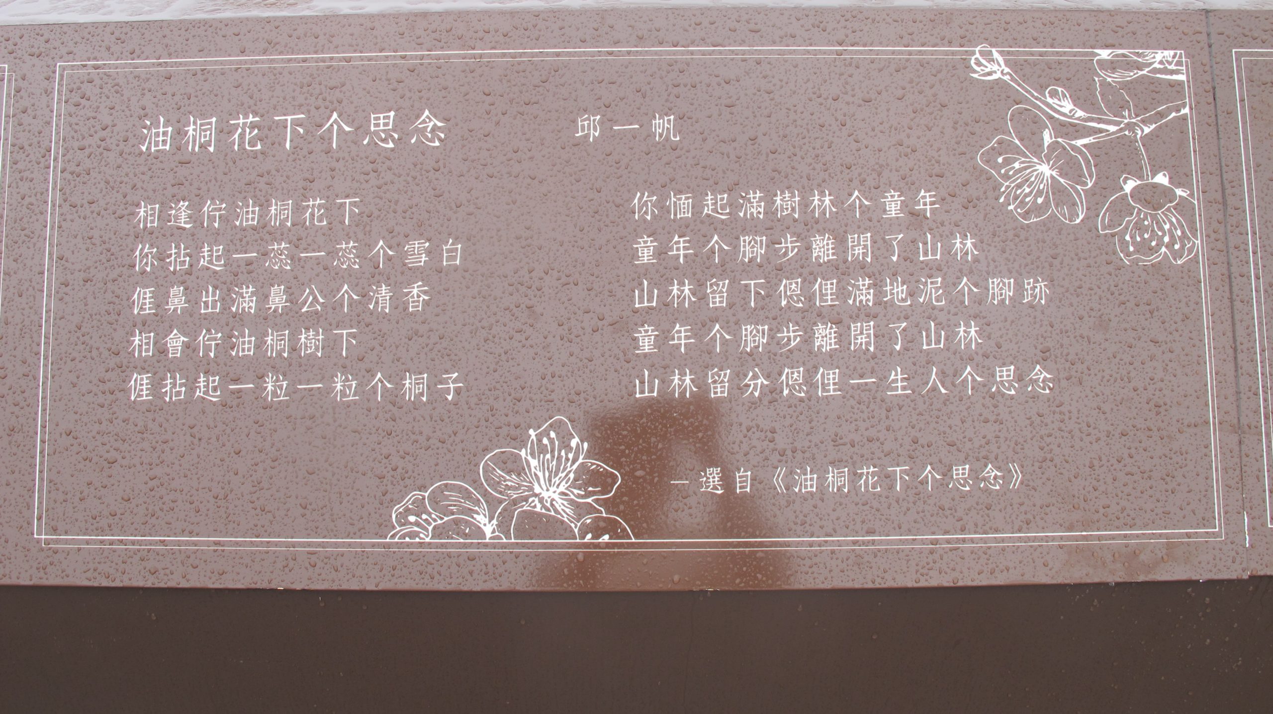 客語詩人邱一帆「油桐花下个思念」。何來美攝