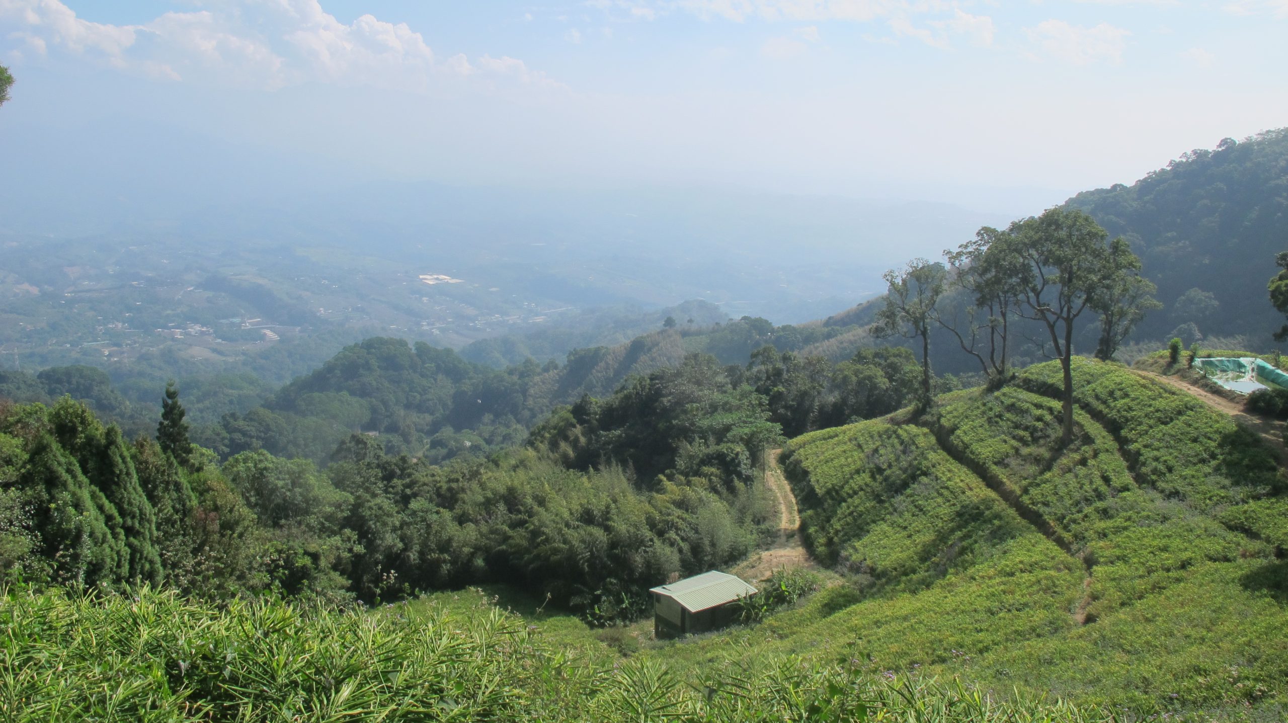 出關古道聖關段途中有塊薑麻園，風景秀麗，視野很好。何來美攝