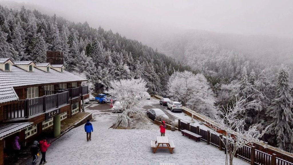 寒流迎春　宜蘭太平山落米雪　歸隻山頭白雪雪仔