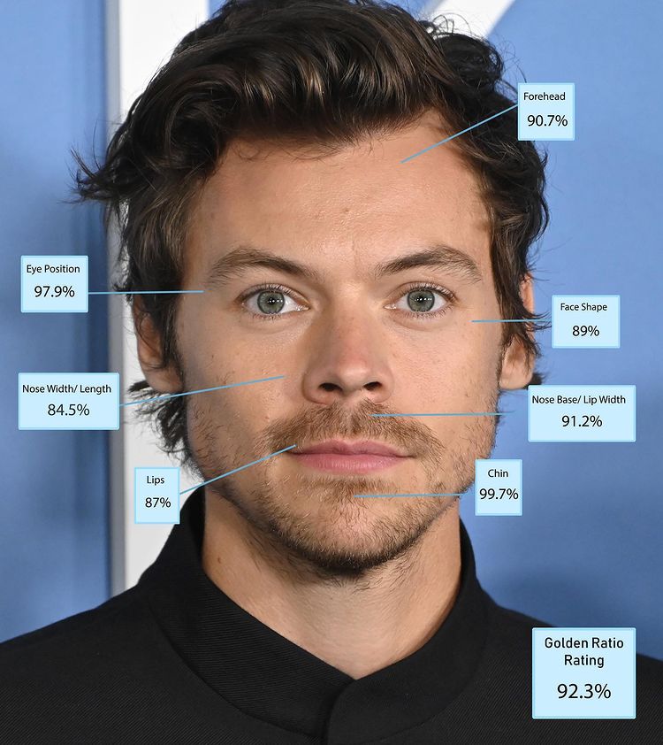 No.4　哈利史泰爾斯(Harry Styles)，92.3%。<br />翻攝自席爾瓦博士官方《IG》