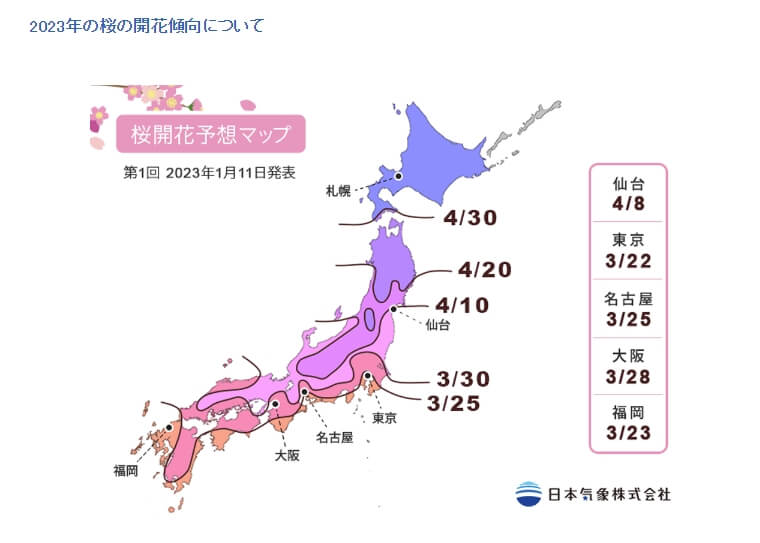 日本氣象株式會社11日公布2023第1次年櫻花開花及滿開預測。圖取自日本氣象株式會社網頁n-kishou.com