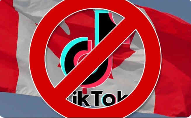 美國新法「不賣就禁」　TikTok告違憲