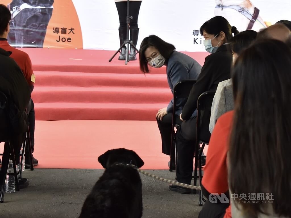 總統蔡英文（後右）10日到惠光導盲犬學校出席惠光導盲犬培訓中心揭牌儀式，在座位上頻頻回頭看一隻黑色導盲犬，後來才發現是自己養的導盲犬。中央社