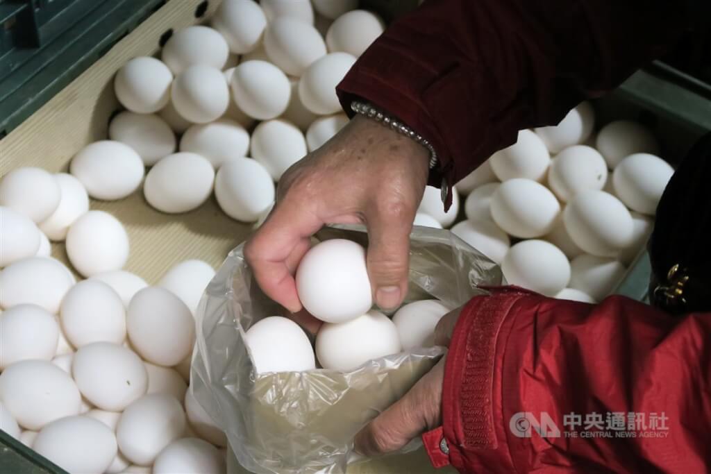 農委會籲革新雞舍    利加速汰換老雞穩定雞蛋產能