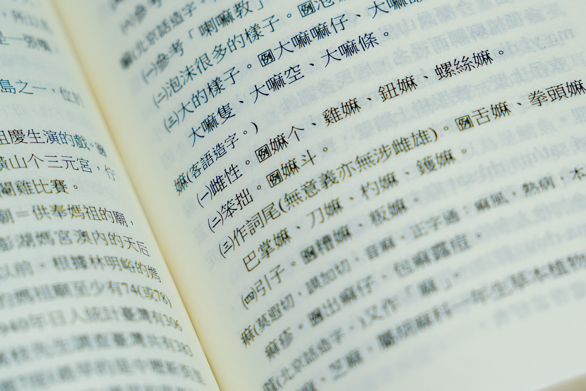 「嫲」字是客家話獨有的「特徵詞」,其本義是形容生過下一代的「雌性動物」,其後擴大隱喻至其他諸多方面。何柏均攝