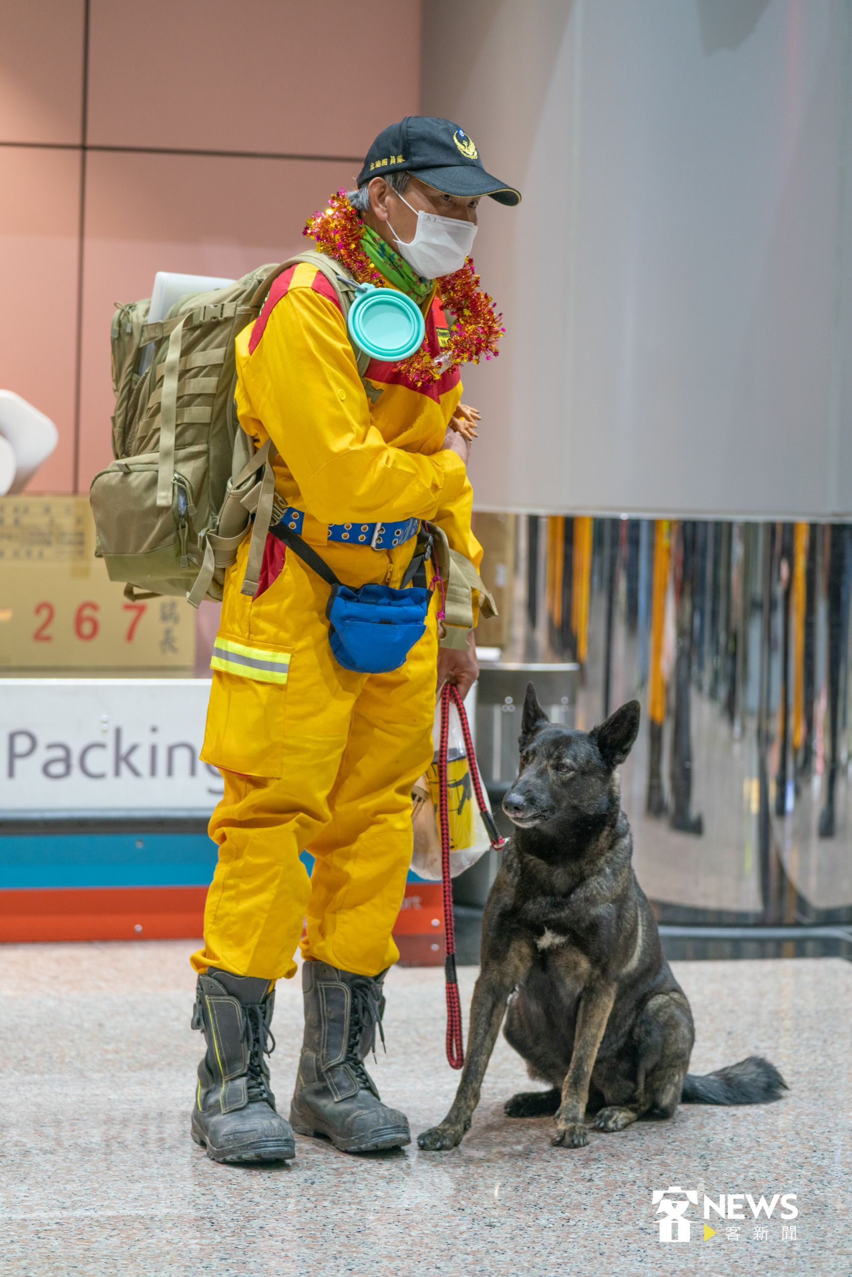 共同前往土耳其救災的搜救犬跟著搜救隊回國後，眼神顯得相當疲累。洪俊傑攝