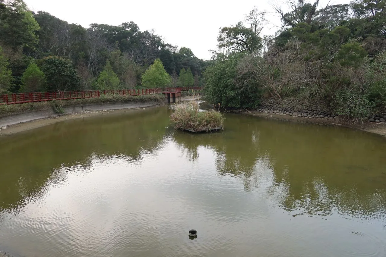 三灣鄉北埔村三聯埤中的李屋埤，塘水豐沛時很美，但今年乾旱已近乾涸。何來美攝