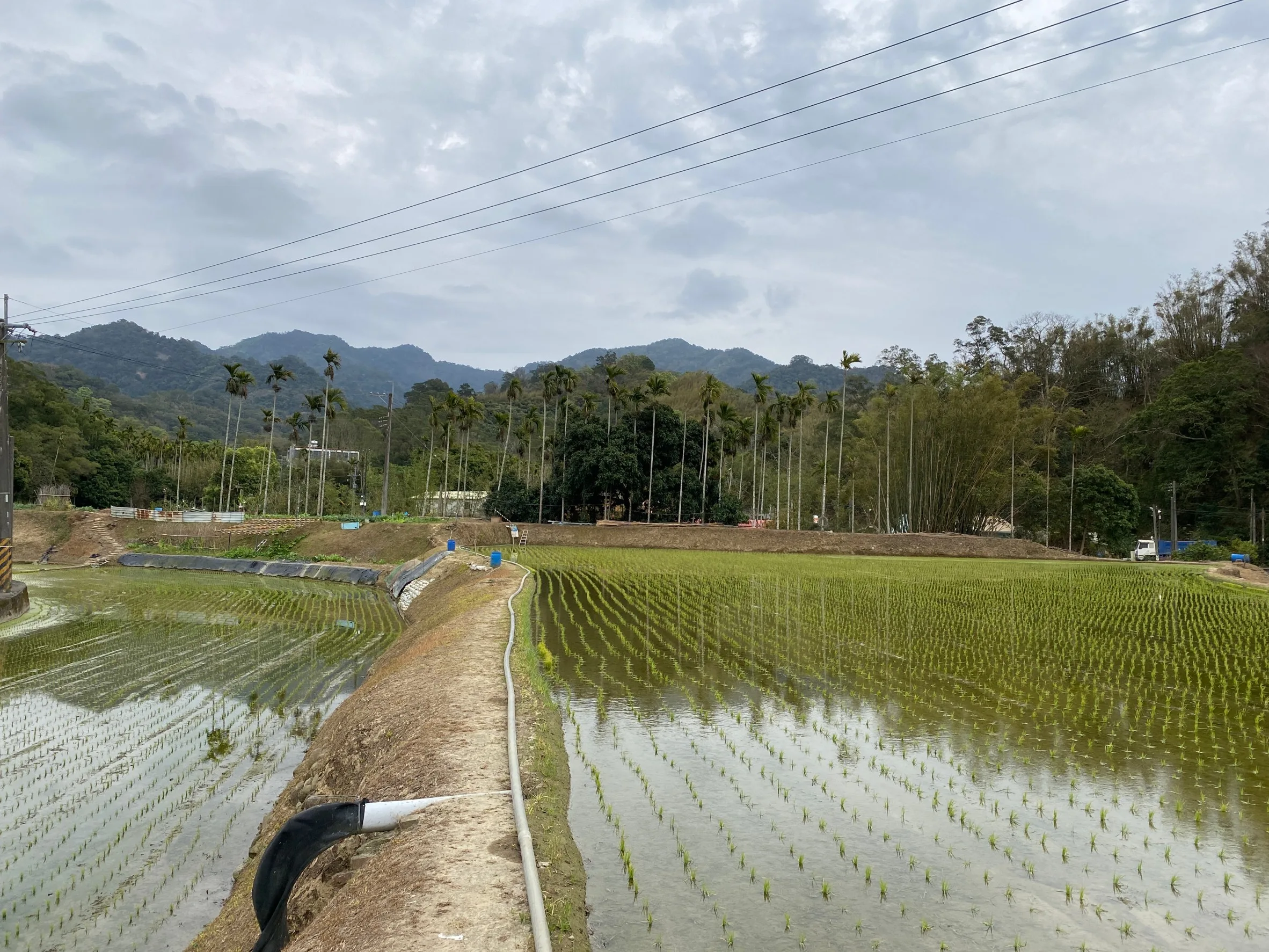 公館南河村有些山田靠抽溪水灌溉。何來美攝