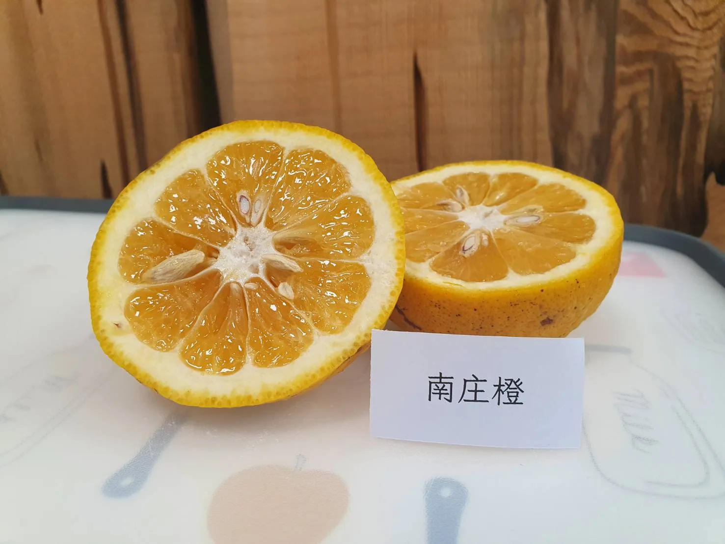 南庄橙果實富含機能性成分且香氣風味特殊,具保健及食用產品研發價值。林務局新竹林區提供