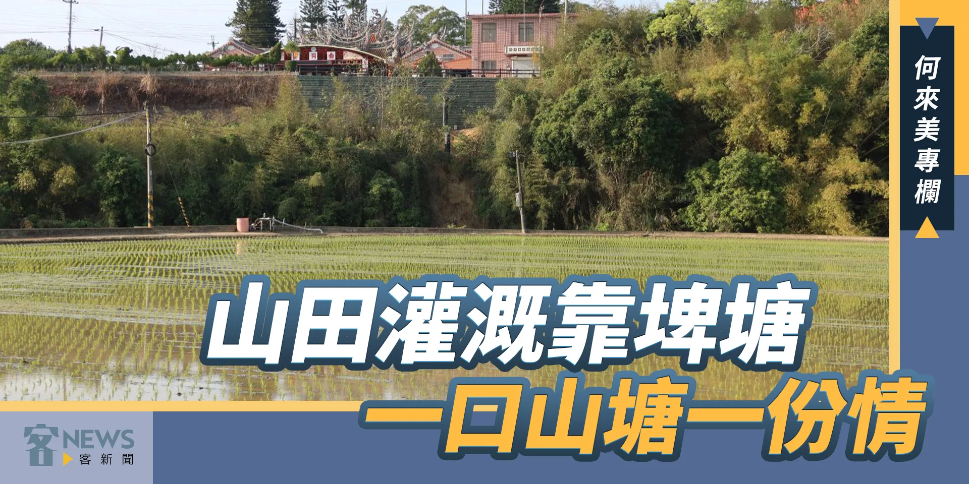 何來美專欄／山田灌溉靠埤塘　一口山塘一份情