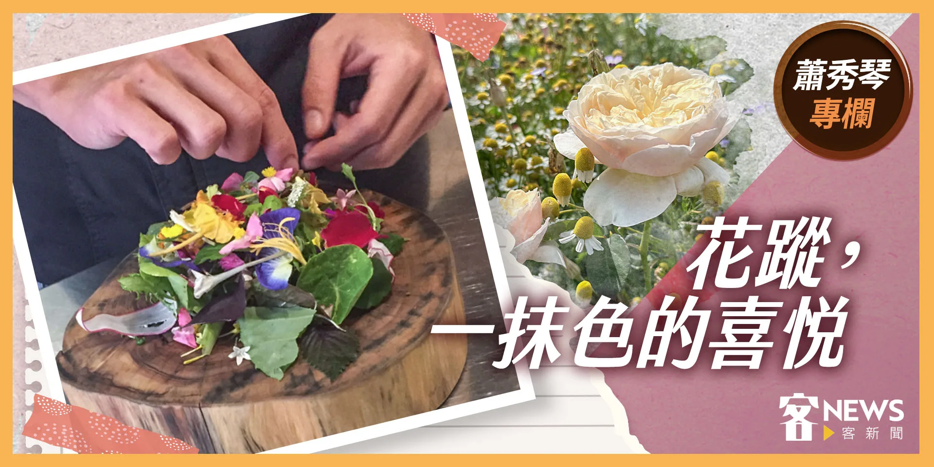 蕭秀琴專欄／花蹤，一抹色的喜悅