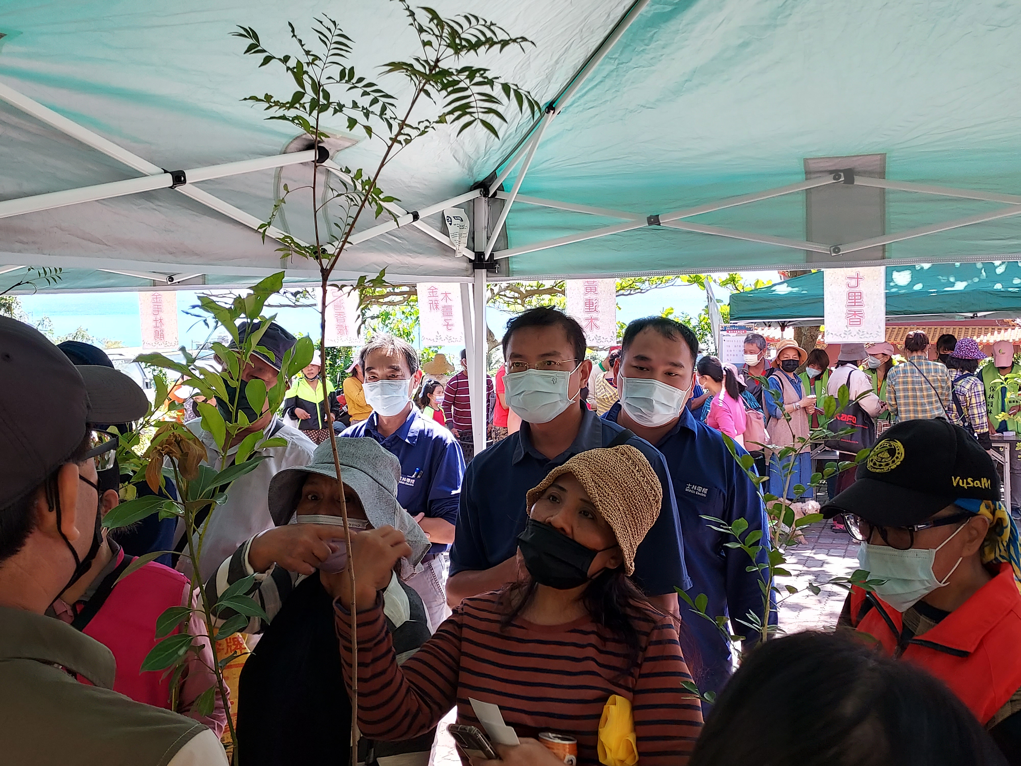 2張發票換1株苗木營造森活圈　台東贈逾8千株樹苗