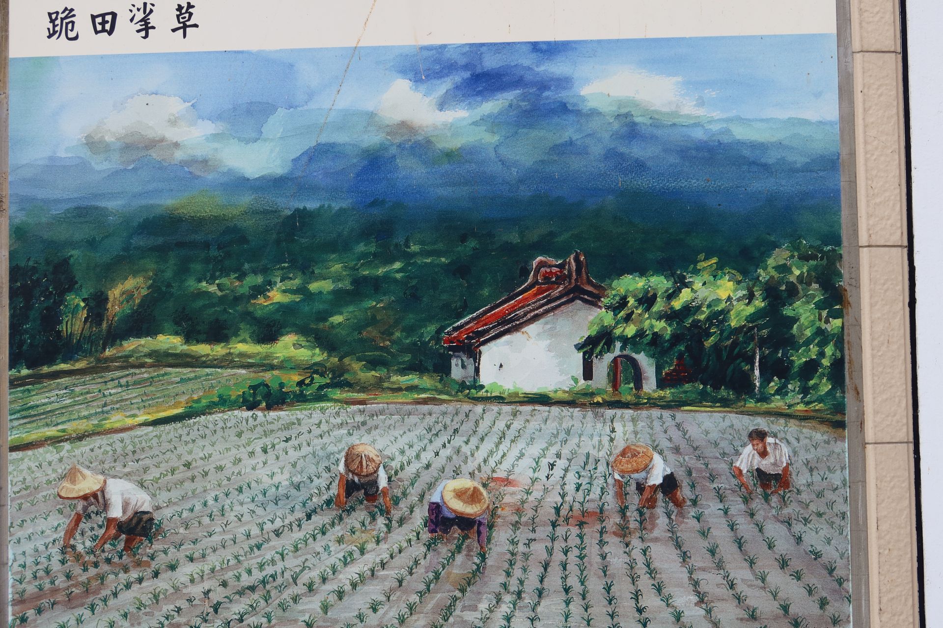 張秋臺畫作「跪田挲草」，在農村已不復見。何來美攝