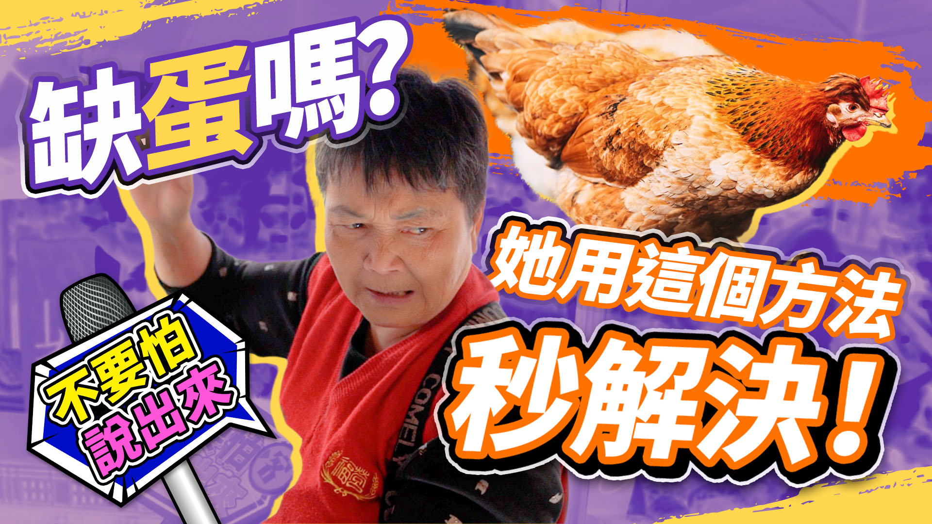 客新聞街訪／蛋荒？就自己養雞　中壢新明市場實測到底缺不缺蛋