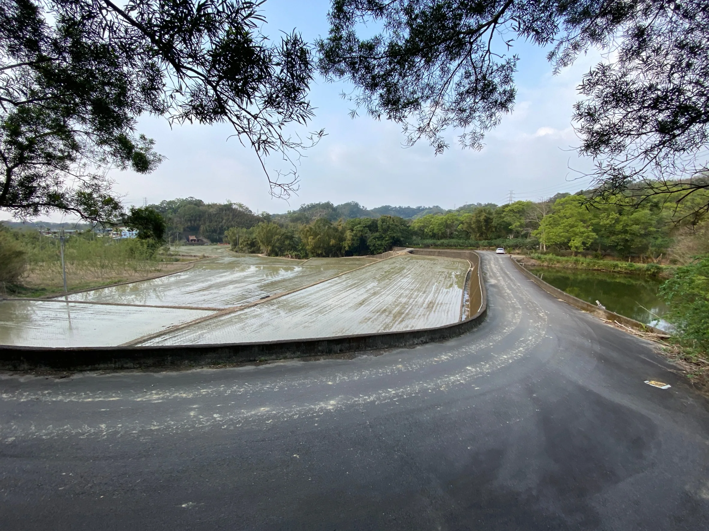 頭屋鄉飛鳳村這口山塘要灌溉塘下近8分地山田。何來美攝