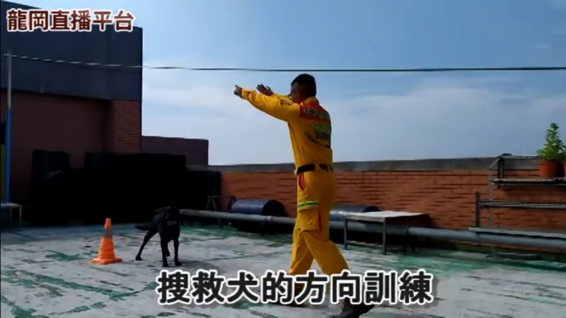 負責訓練Emma个領犬員吳曜任，摎Emma進行方向訓練。作者提供