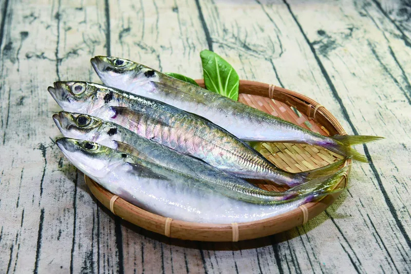 白帶魚竹筴魚恢復銷中　禁輸期間轉戰新市場