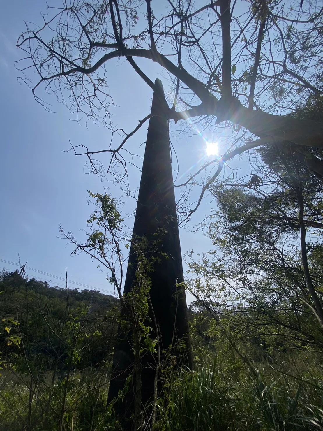 波羅汶磚窯遺跡旁高聳煙囪,整座窯體保存相當完整。在地人提供