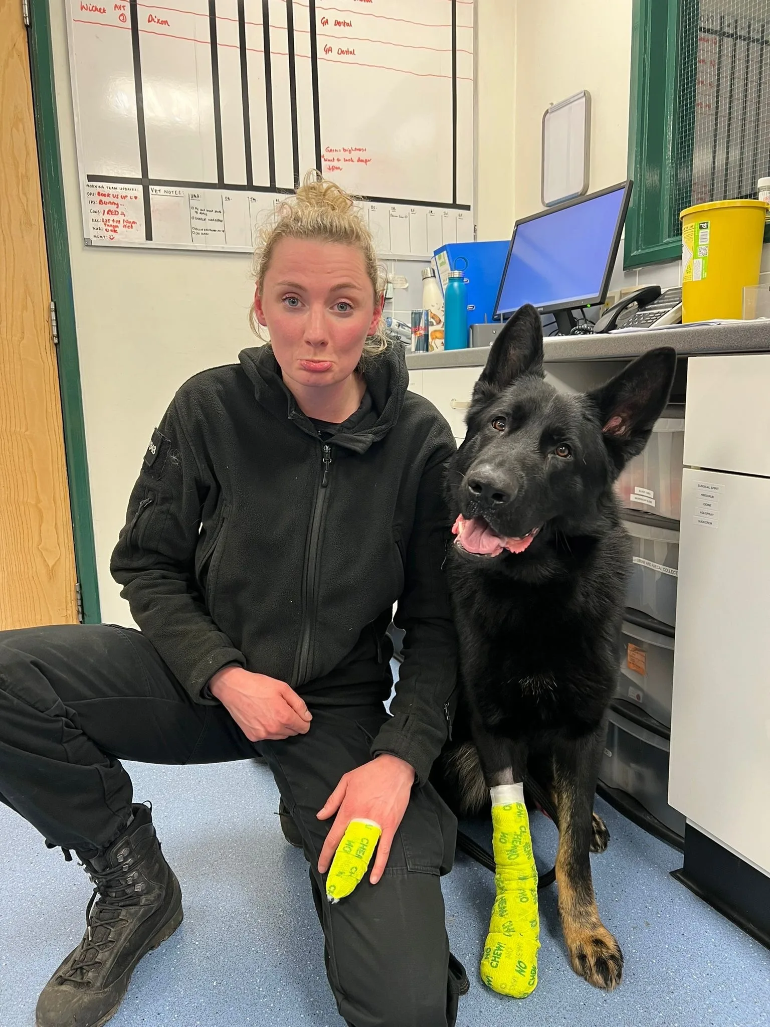 一名女警與警犬都在任務中受傷。資料照片,翻攝自加州通過法案,將禁止警犬參與追捕、逮捕與控制群眾等執法行動。資料照片,翻攝自Hants_TVP Police-Dog Service官方《推特》