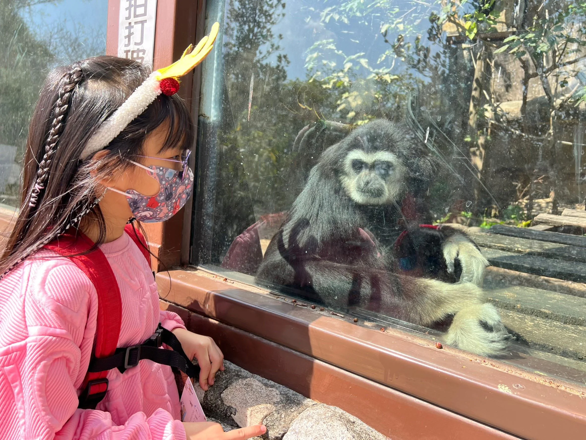 兒童節連假　高雄壽山動物園每天加賣現場票千張