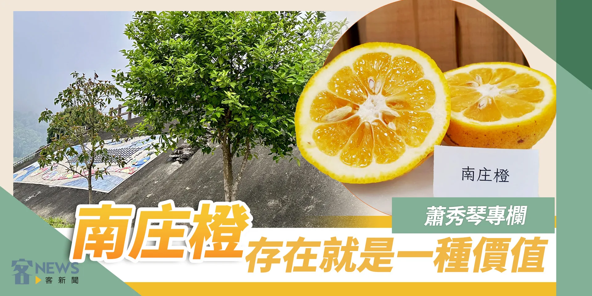 蕭秀琴專欄／南庄橙，存在就是一種價值