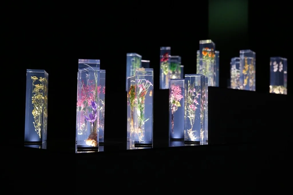 日本藝術家東信首檔台灣個展29日登場　保存蘭花美