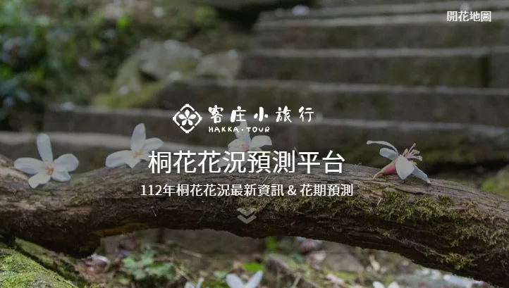 客家委員會特別運用科技與大數據創新應用服務，打造「IOT桐花花況預測平台」，讓民眾4、5月賞桐花不撲空。翻攝自客庄小旅行-桐花花況預測平台