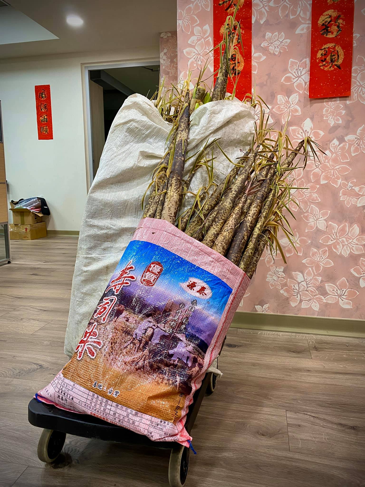 南投農地竹筍災損獲救助 爭取林地納入補助範圍