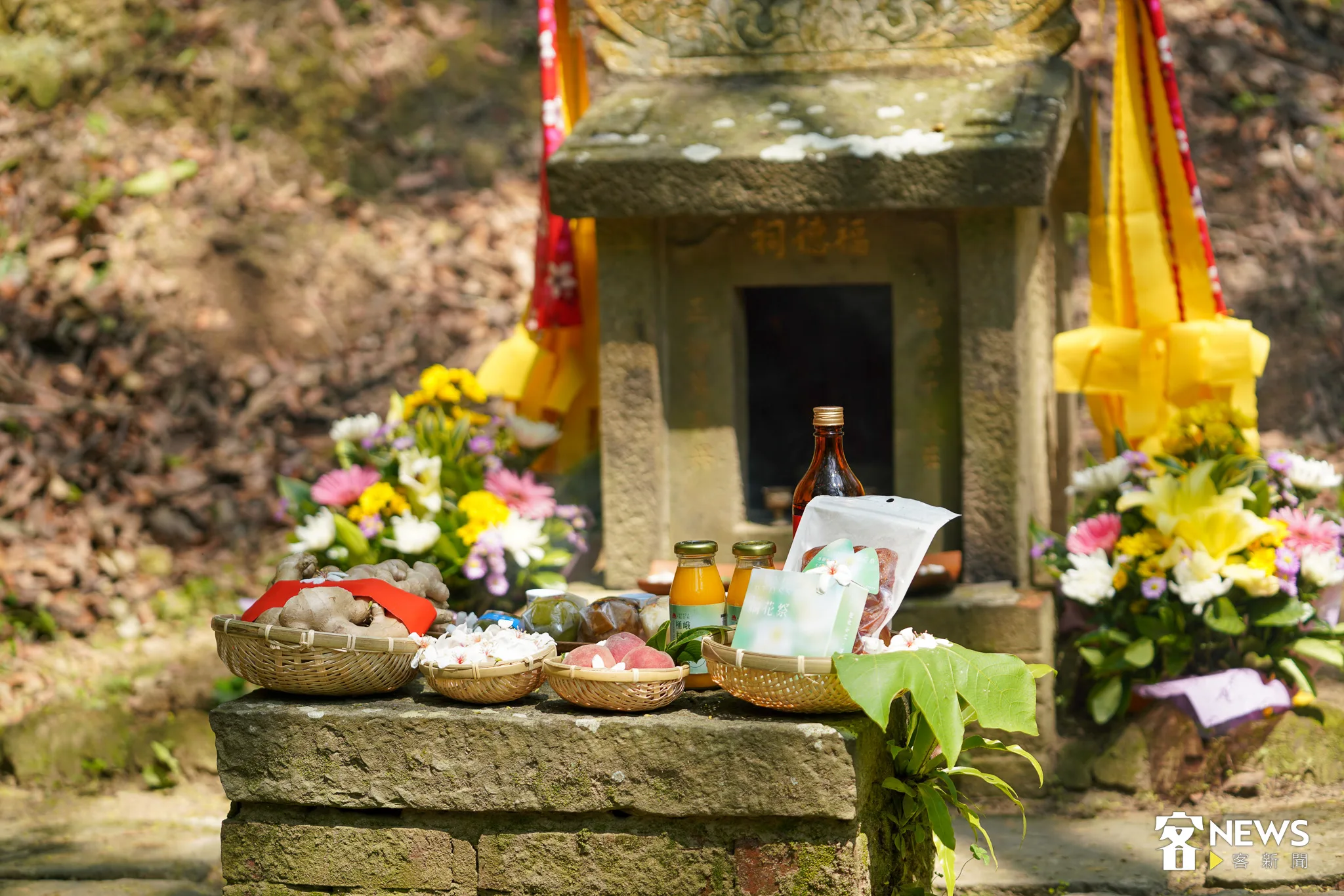 桐花祭開幕式，敬拜伯公三獻禮儀式。何柏均攝