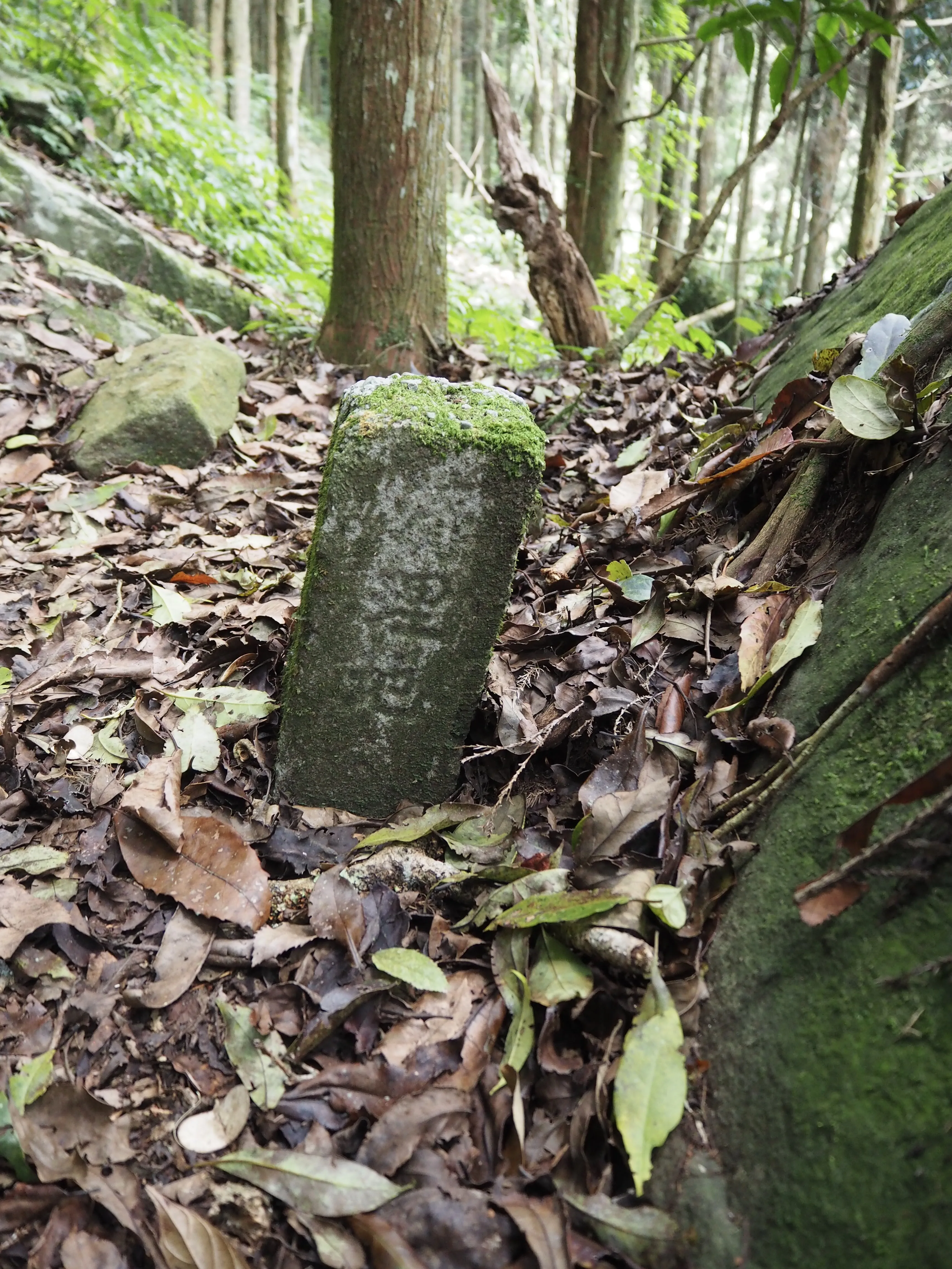 1862年中英天津條約淡水開港後，英國人到南庄紅毛館伐樟焗樟腦油的界碑。。作者提供