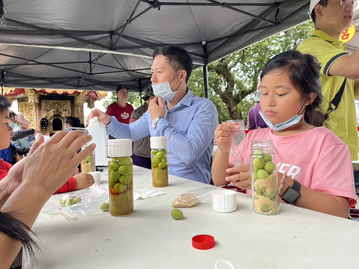 參加台南桐花小旅行的大小朋友坐滿DIY製梅區域，每個人都十分期待自己製作青梅趕緊完成。蘇佑昇攝
