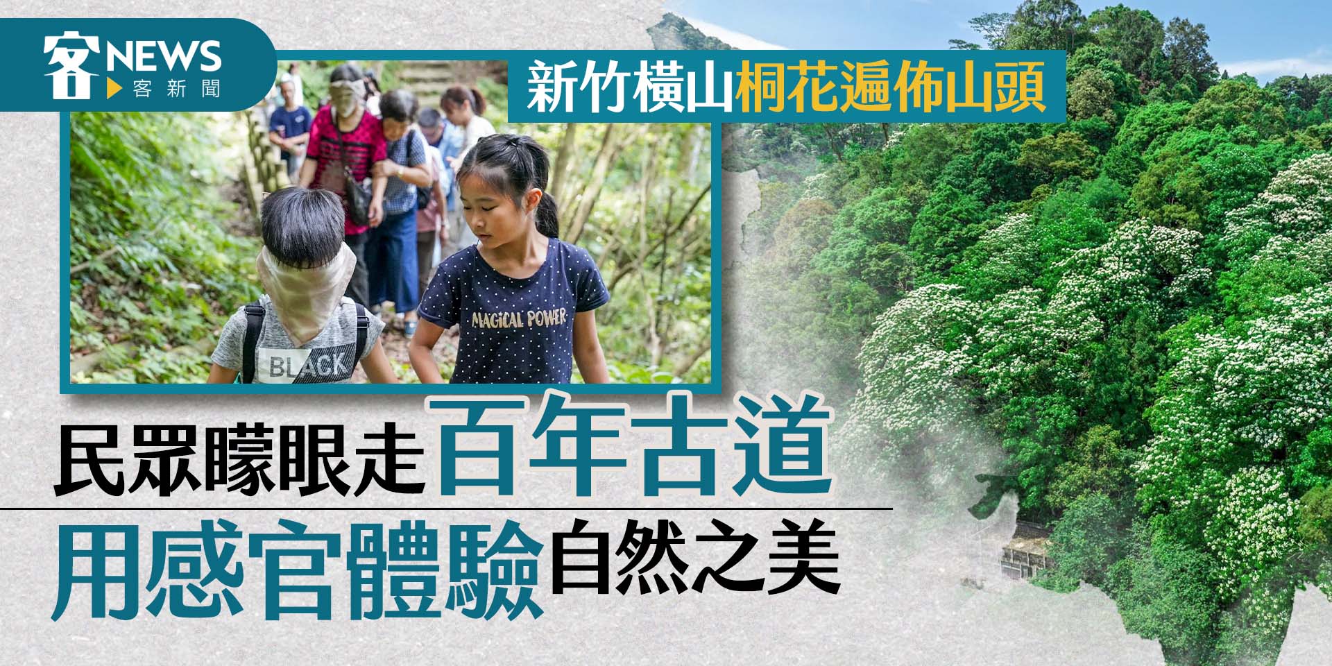 新竹橫山桐花遍佈山頭　民眾矇眼走百年古道用感官體驗自然之美