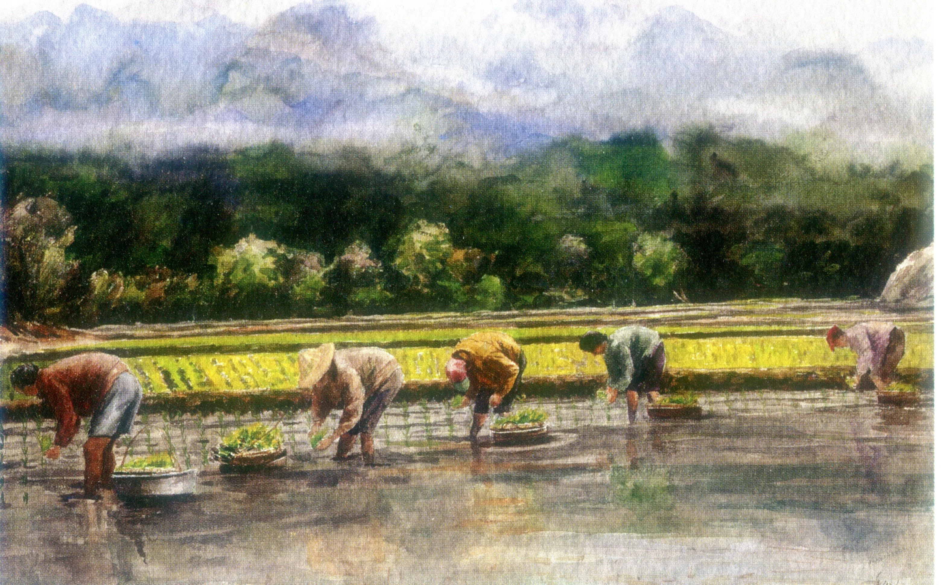 張秋臺畫作插秧蒔田。何來美攝