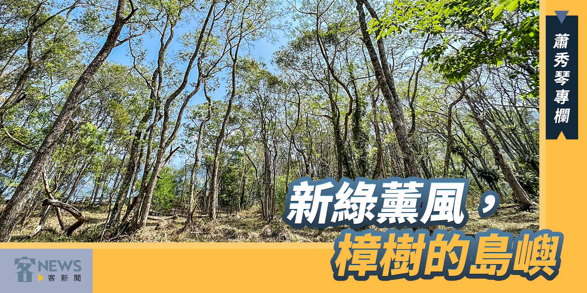 蕭秀琴專欄／新綠薰風，樟樹的島嶼