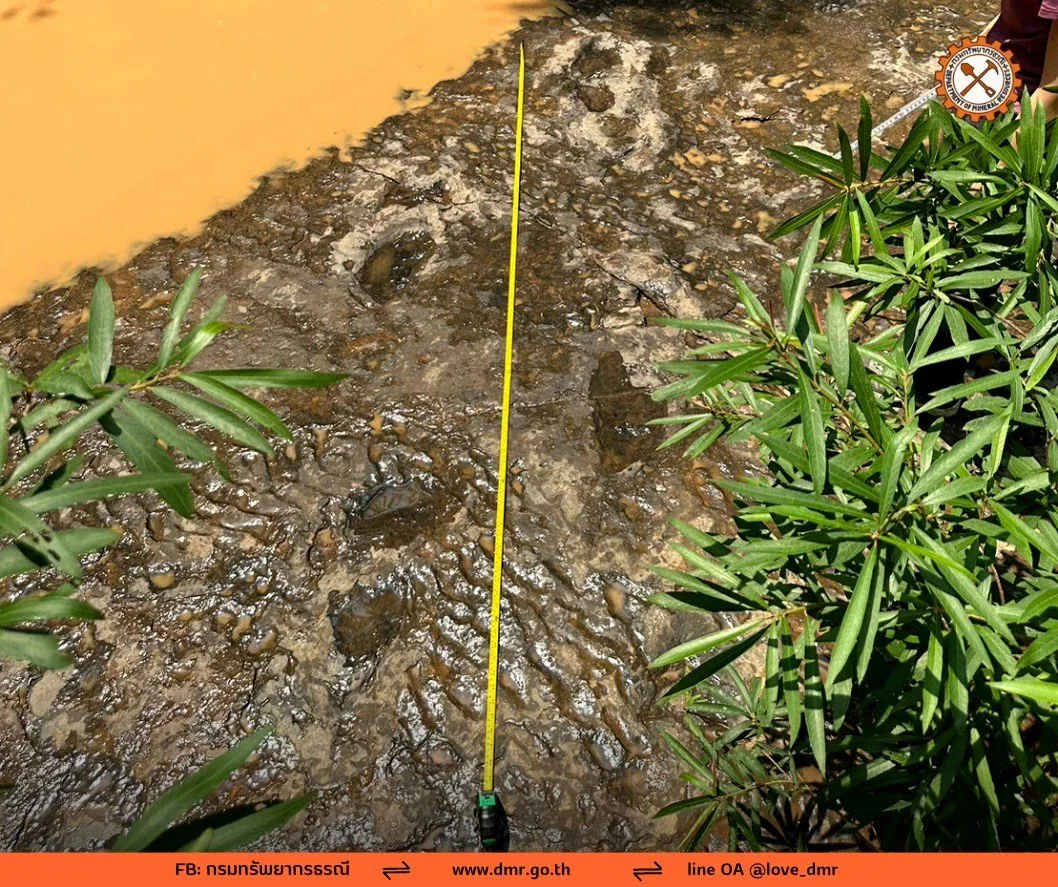 專家測量足印的前進方向、步幅與足跡大小,發現有2條截然不同的步行路徑。翻攝自DMR《臉書》官方粉專