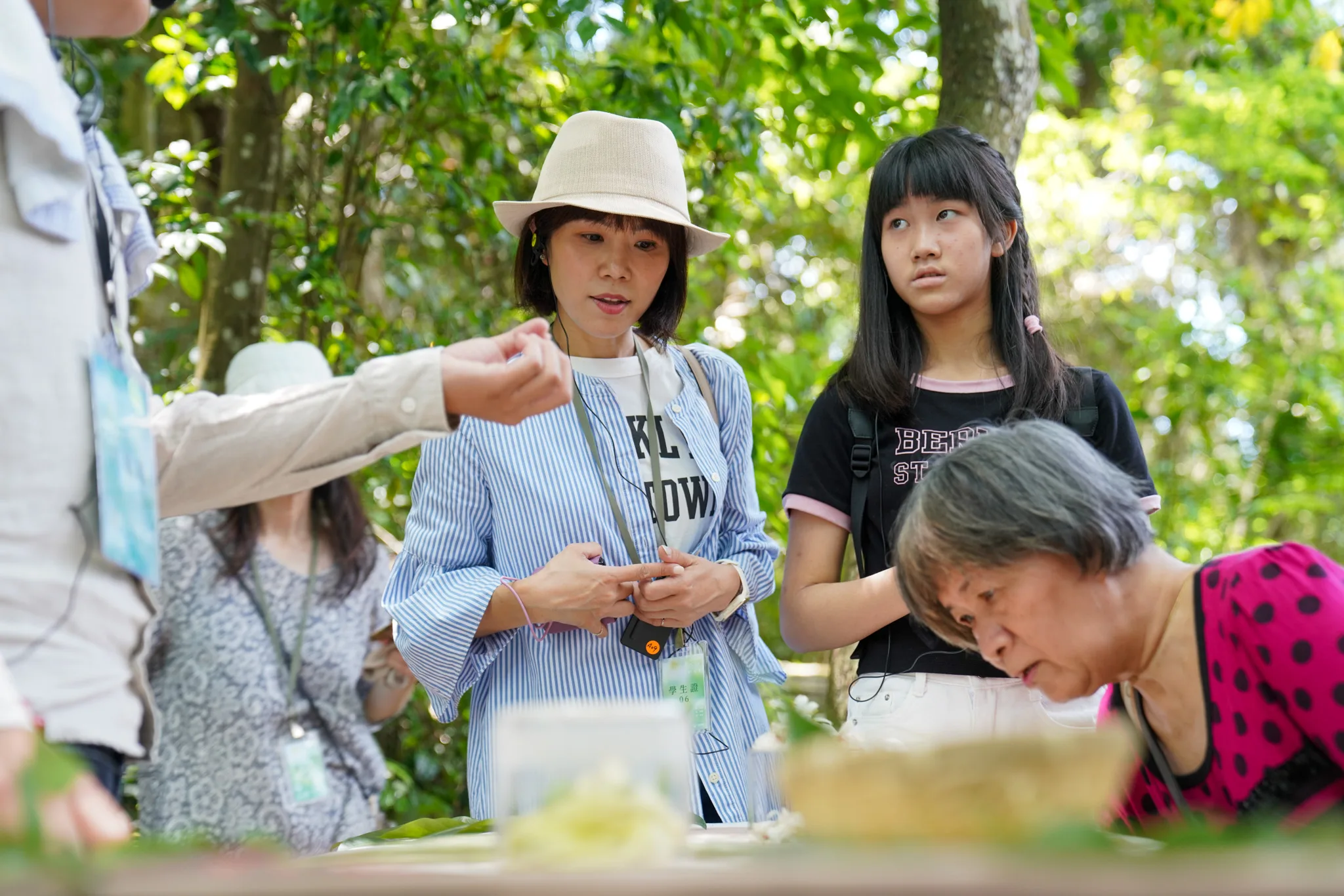 桐花祭不只賞花，安排課程讓民眾認識常見花草。范修語攝