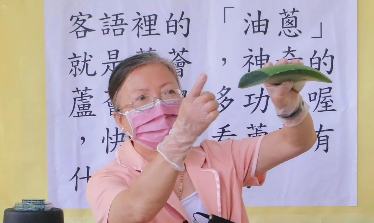 油蔥个大黃素會對切忒該面流出來，這大黃素就係分人食著會屙痢肚个毒素，故所削皮後个油蔥肉，定著愛黏時洗淨來正做得。鍾孝昇提供