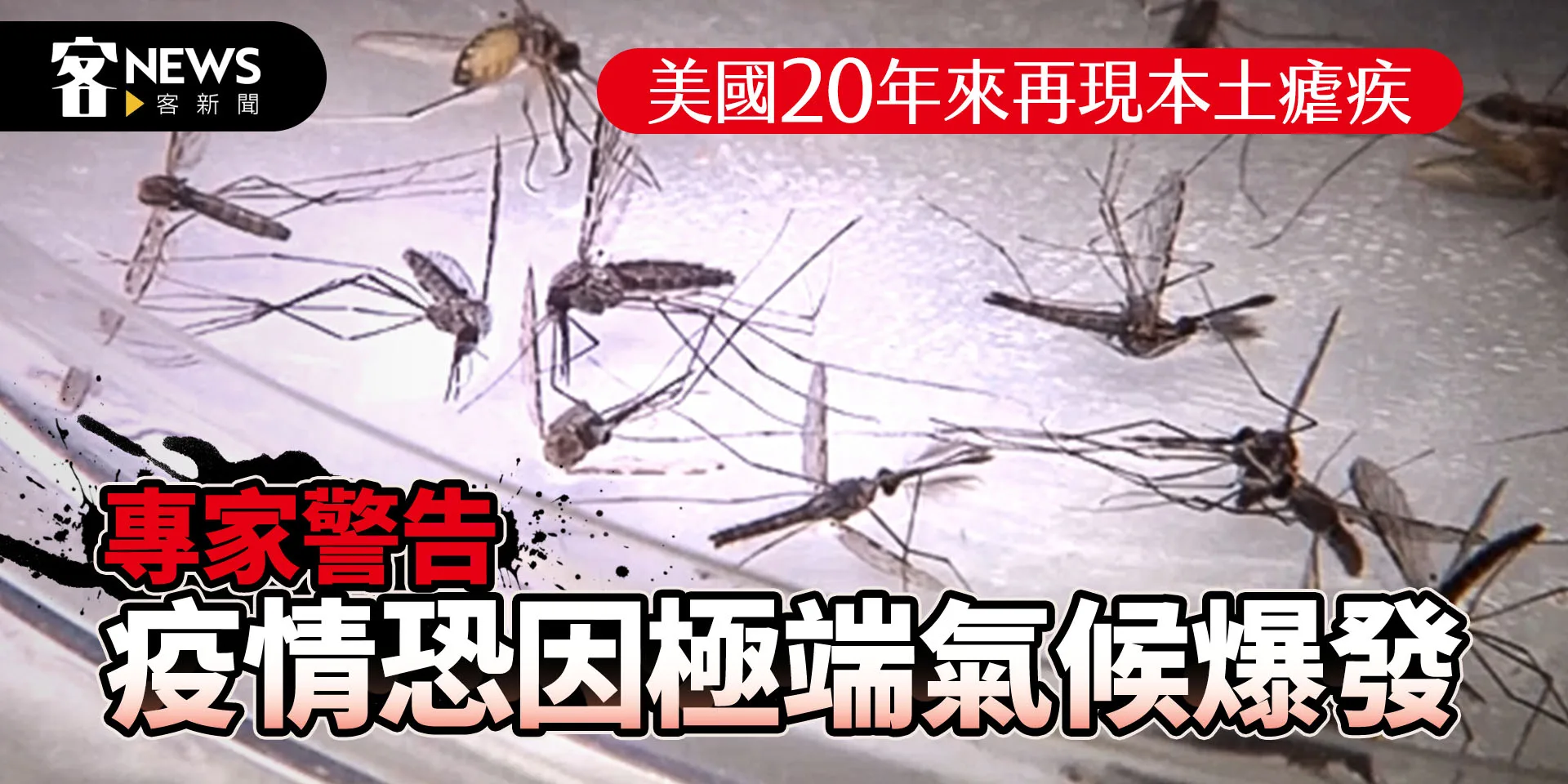 美國20年來再現本土瘧疾　專家警告疫情恐因極端氣候爆發
