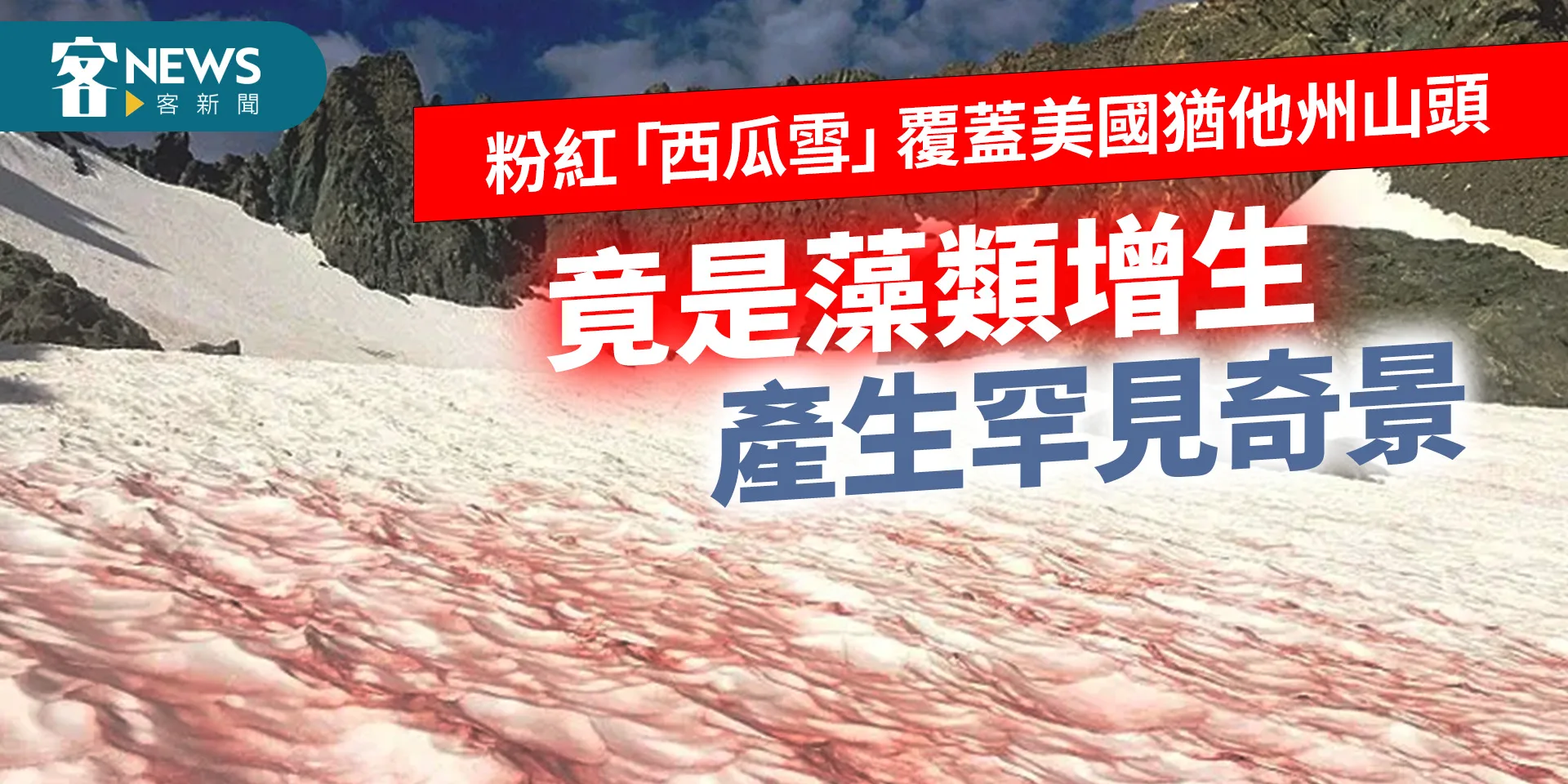 粉紅「西瓜雪」覆蓋美國猶他州山頭　竟是藻類增生產生罕見奇景